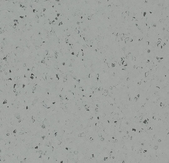 50959 oyster shell