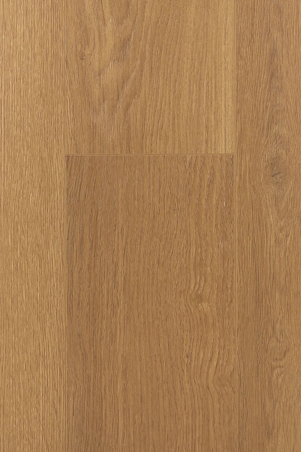 Дуб Хармоник | Harmonik oak 1F317