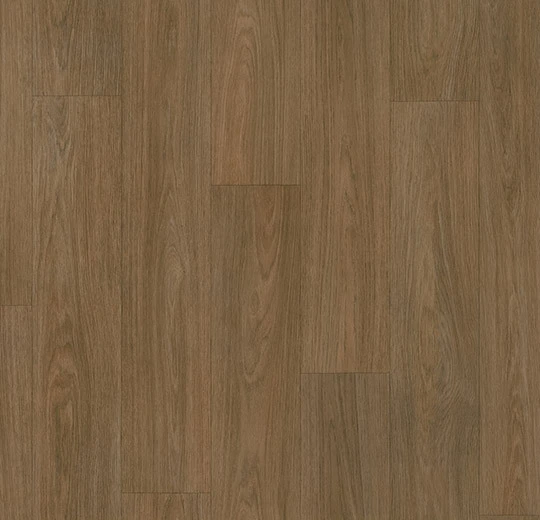8803T4319 dark boreal oak