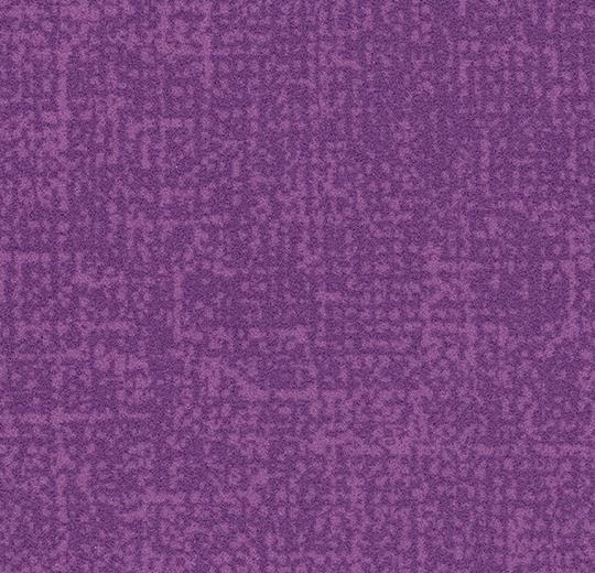s246034 Metro lilac