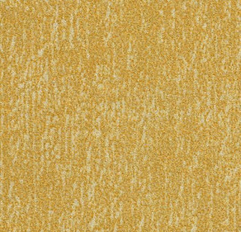 t545030 Canyon sulphur