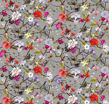 840001 Botanical Magnolia